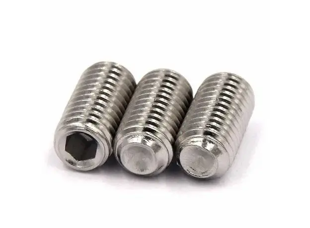 SS Grub Screw