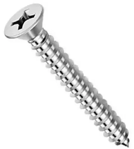 Round SS Self Tapping Screw