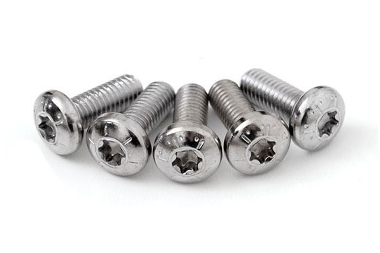 SS Torx Head Screw