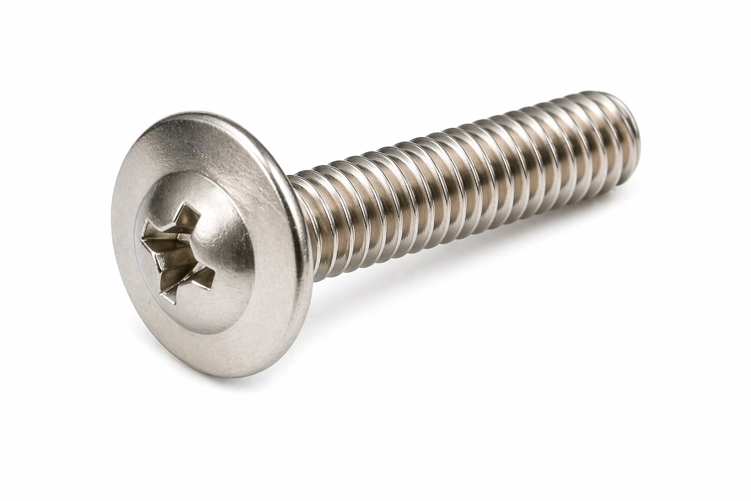 SS Washer Screw